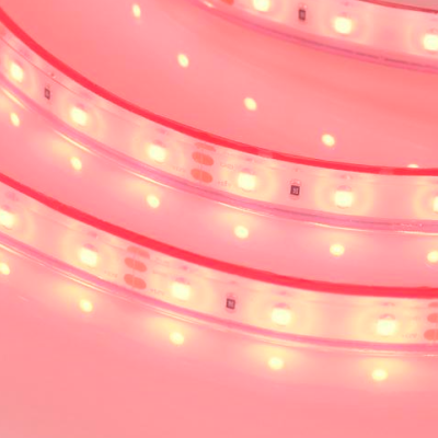 RTW-PFS-A60-11mm12V Red (4.8 W/m, IP68, 2835, 5m)